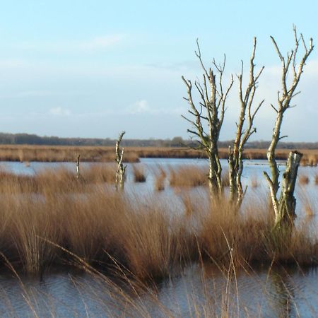 Bitter En Zoet Veenhuizen Exterior foto