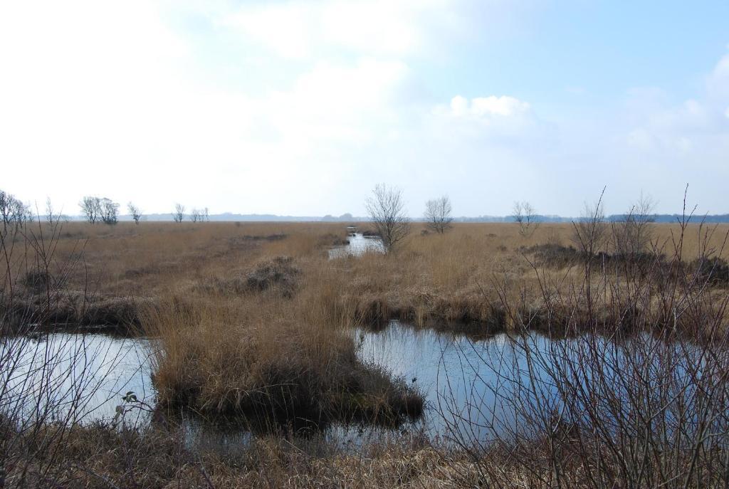 Bitter En Zoet Veenhuizen Exterior foto