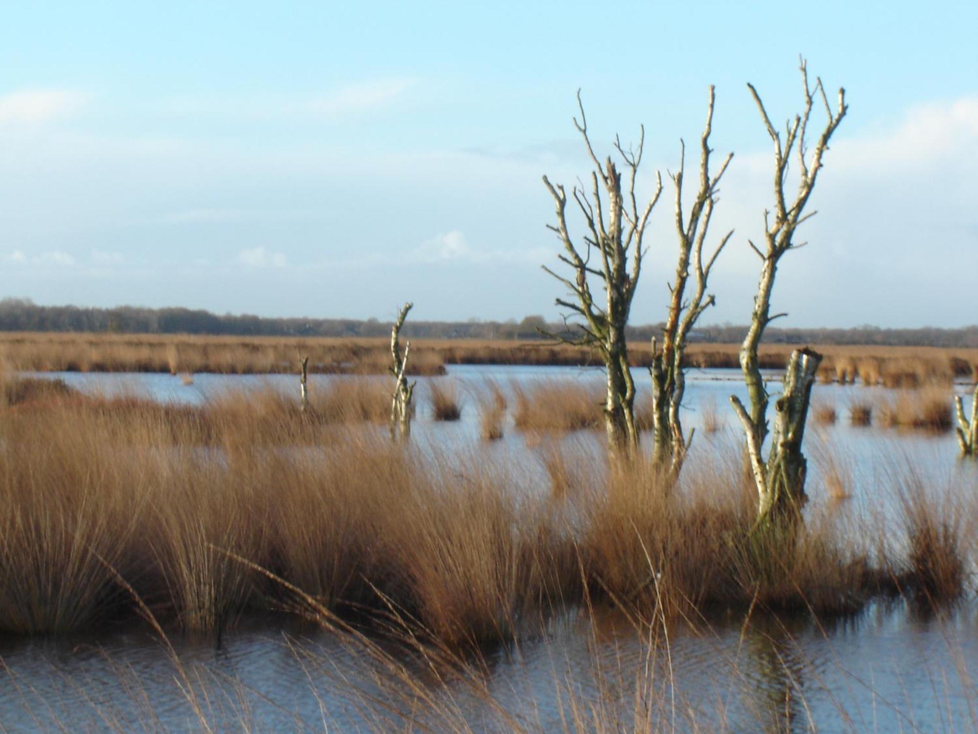 Bitter En Zoet Veenhuizen Exterior foto
