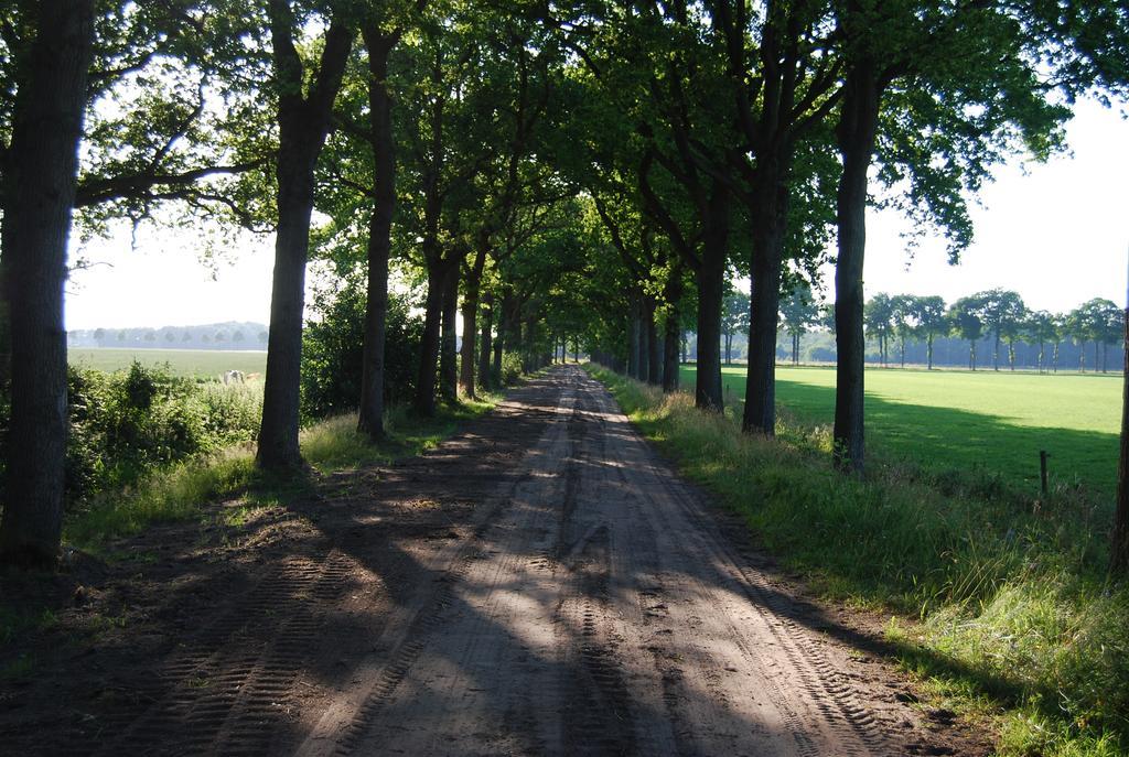Bitter En Zoet Veenhuizen Quarto foto